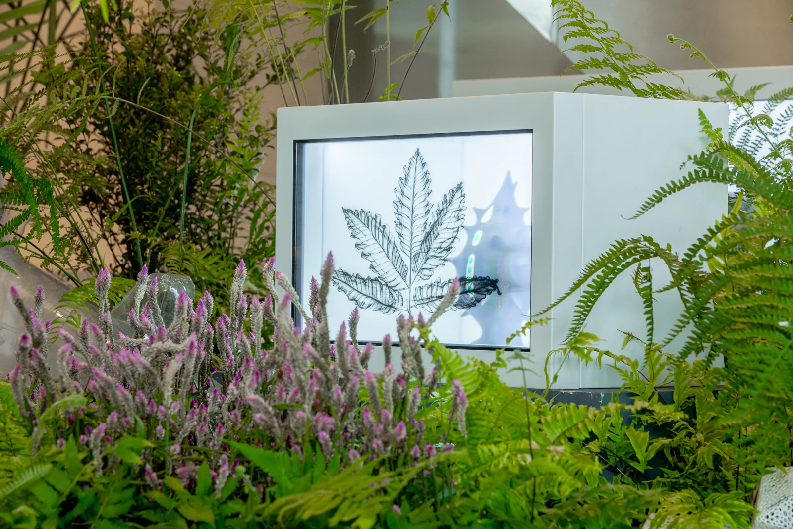 達辰透明螢幕 × 陳普《透明棲地的多樣性》登場台新新光金控大樓